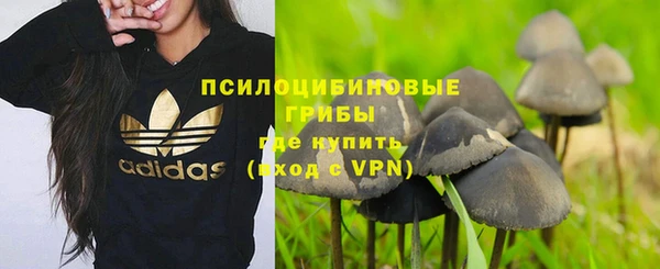 mix Армянск