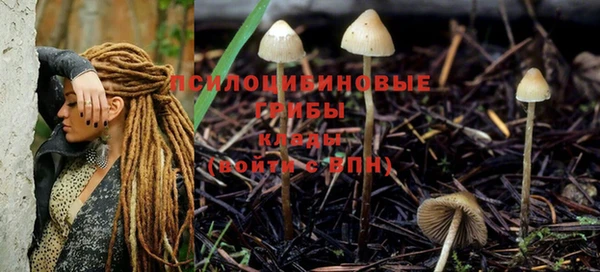 MDMA Арсеньев