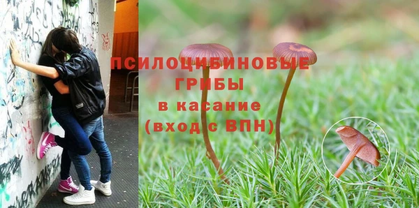 mix Армянск